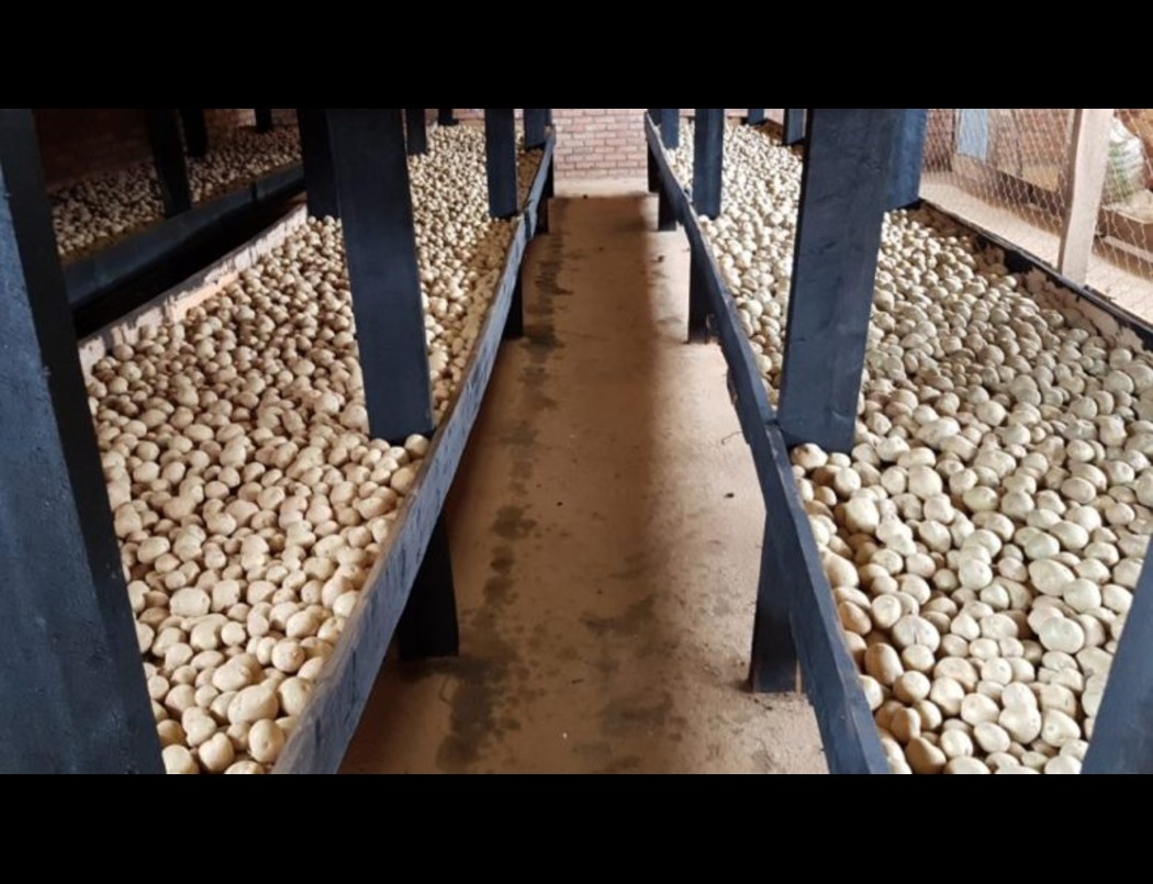 Sustainable Agriculture and Livelihoods